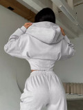 Zipper Long Sleeve Hooded Sweatshirt Sport Pants Suit GLXF-C56105