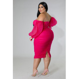 Plus Size Mesh Long Sleeve Ruched Midi Dress GQIF-S0254