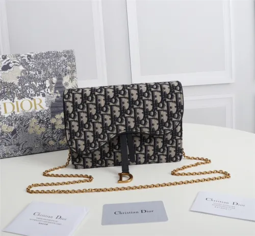Dior Women Shoulder Bags 22*14.5*4.5cm