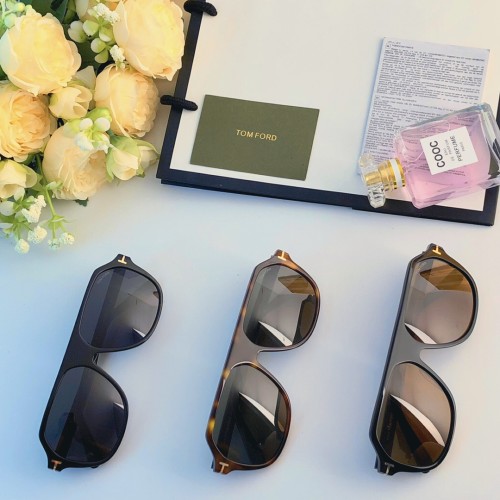Tom Ford Sunglasses 3-Color