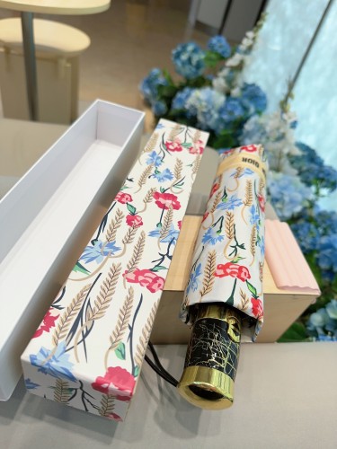 Dior Umbrella