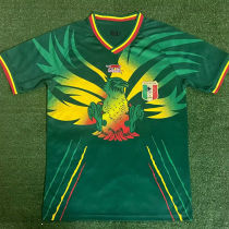 2023/24 Mali Home Green Fans Jersey