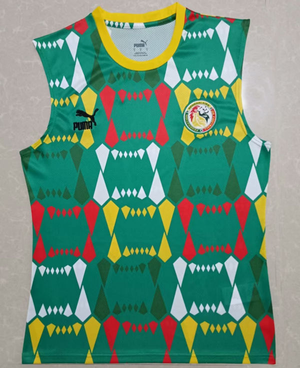2023/24 Senegal Vest Jersey