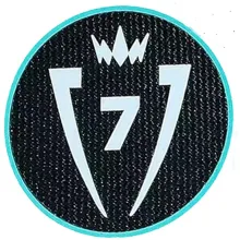 CONCACAF Champions Cup 7 Patch 7字杯 美冠杯臂章 (You can buy it Or tell me to print it on the Jersey )