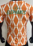 2023/24 Ivory Coast Orange Player Version Jersey