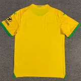 2023/24 Mamelodi Sundowns Yellow Fans Soccer Jersey 马梅洛迪日落