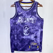 2023/24 Lakers PALL #1 Purple Honor Edition NBA Jerseys