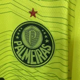 2023/24 Palmeiras Third Green Long Sleeve Soccer Jersey