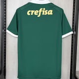 2024/25 Palmeiras 1:1 Quality Home Green Fans Soccer Jersey