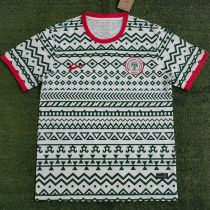 2023/24 Nigeria Training Jersey