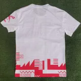 2023/24 Union Berlin Special Edition Fans Soccer Jersey