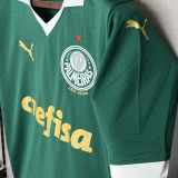 2024/25 Palmeiras 1:1 Quality Home Green Fans Soccer Jersey