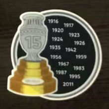 COPA AMERICA 15 Cup Patch Uruguay Jersey 15字杯美洲杯乌拉圭专用
