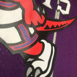1998/99 Toronto Raptors CARTER #15 Purple Retro NBA Jerseys 热压