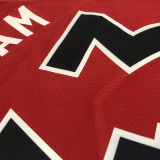 Toronto Raptors SIAKAM #43 Red Away NBA Jerseys