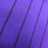 2018 LA Lakers JAMES # 23 Purple Stripe Limited Edition NBA Jerseys Hot Pressed