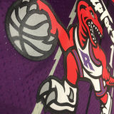 1998/99 Toronto Raptors MCGRADY #1 Purple Retro NBA Jerseys 热压