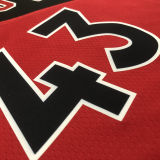 Toronto Raptors SIAKAM #43 Red Away NBA Jerseys