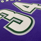The Bucks ANTETOKOUNMPO #34 purple Retro NBA Jerseys