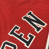 Bulls PIPPEN#33 Retro Red NBA Girl Jersey