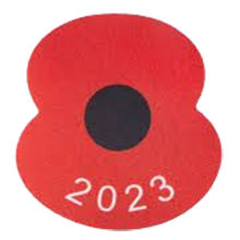 Royal British Legion Poppy 2023 英超胸前红花 (You can buy it Or tell me to print it on the Jersey )
