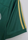 2014/15 Palmeiras Home Centenary Green Retro Jersey