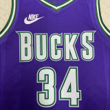 The Bucks ANTETOKOUNMPO #34 purple Retro NBA Jerseys