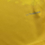 2024/25 BVB Yellow Special Edition Fans Jersey