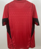 2023/24 AT Mineiro GK Red Fans Soccer Jersey