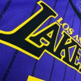 2018 LA Lakers JAMES # 23 Purple Stripe Limited Edition NBA Jerseys Hot Pressed