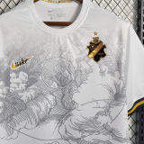 2023 AIK Solna 132th Anniversary Edition Fans Jersey AIK索尔纳