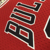 Bulls PIPPEN#33 Retro Red NBA Girl Jersey