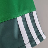 2010/11 Palmeiras Home Green Retro Jersey