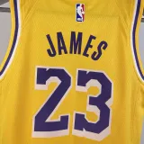 Lakers JAMES #23 Yellow Kids NBA Jersey 热压