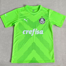 2023/24 Palmeiras Goalkeeper Soccer Jersey