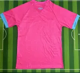 2023/24 Gremio Special Edition Pink Fans Soccer Jersey