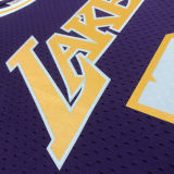 1998/99 Lakers RODMAN #73 Retro Purple NBA Jerseys热压