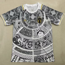 2023/24 Italy Special Edition Fans Soccer Jersey
