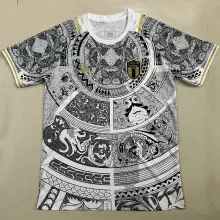 2023/24 Italy Special Edition Fans Soccer Jersey