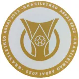 2022/23 Corinthians Third Fans Soccer Jersey 背后不是空的