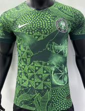 2022/23 Nigeria Home Green Player Version Jersey