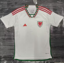 2022/23 Wales Away White Fans Soccer Jersey