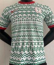 2023/24 Nigeria Player Version Training Jersey