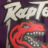 1998/99 Toronto Raptors CARTER #15 Purple Retro NBA Jerseys 热压