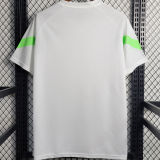 2023 Palmeiras White Training Jersey 圆领