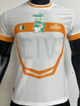 2022/23 Ivory Coast Away White Player Version Jersey