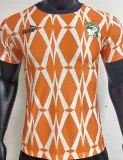 2023/24 Ivory Coast Orange Player Version Jersey