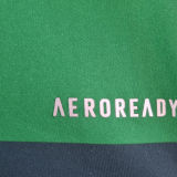 2010/11 Palmeiras Home Green Retro Jersey