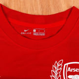 2011/12 ARS 125Th Ａnniversary Retro Soccer Jersey