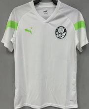 2023 Palmeiras White Training Jersey 圆领